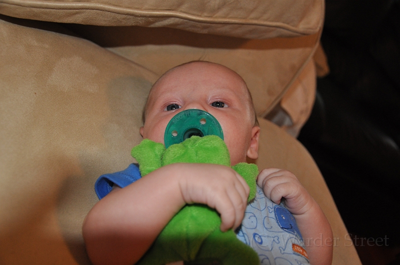 William's Sixth Week 15.jpg